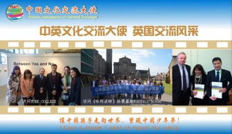 融匯中西，傳遞友誼——第五屆中國文化交流大使選拔活動組織策劃文化藝術交流活動紀實
